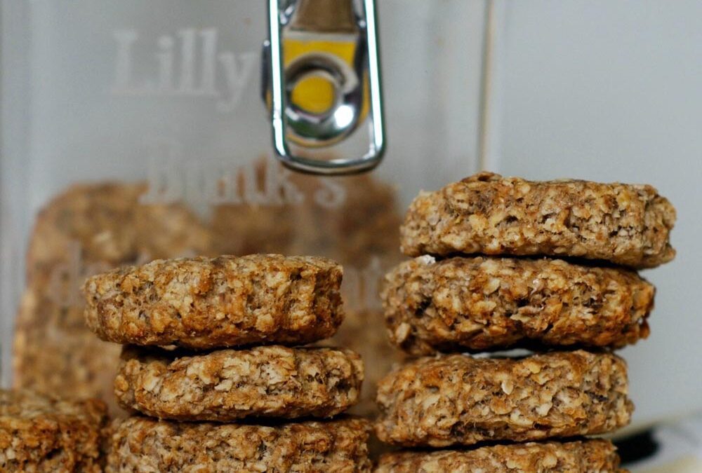 Sardine & Oat Dog Cookies